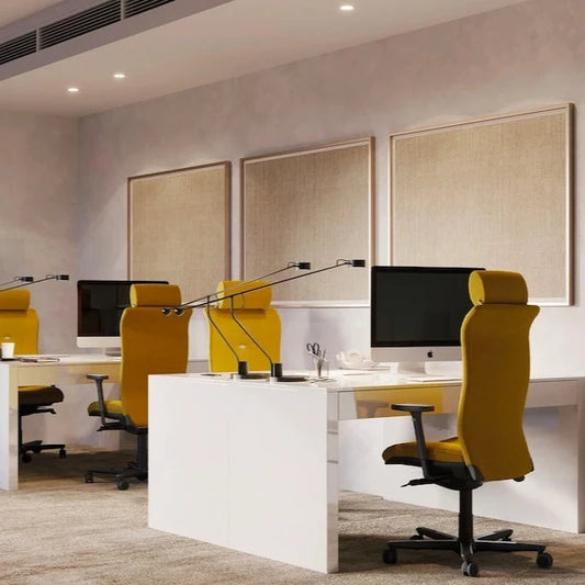 Chaise de bureau ergonomique professionnel STONG AUGUSTE