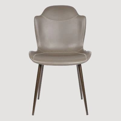 Chaise de Salon Design Moderne en Métal et Cuir