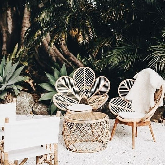 Chaise moderne en bois et rotin avec dossier pétales
